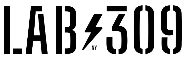 LAB309