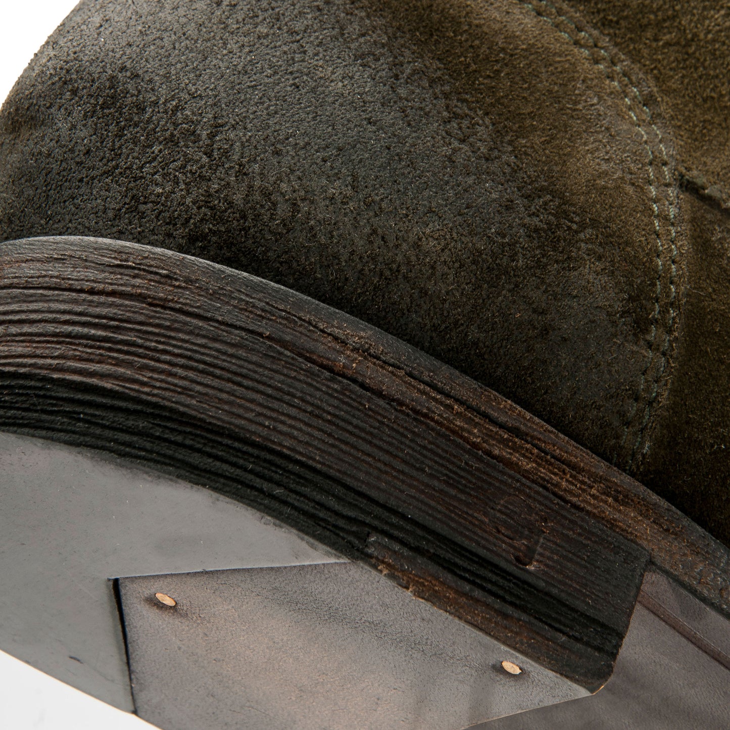 BORCEGO ZORRO