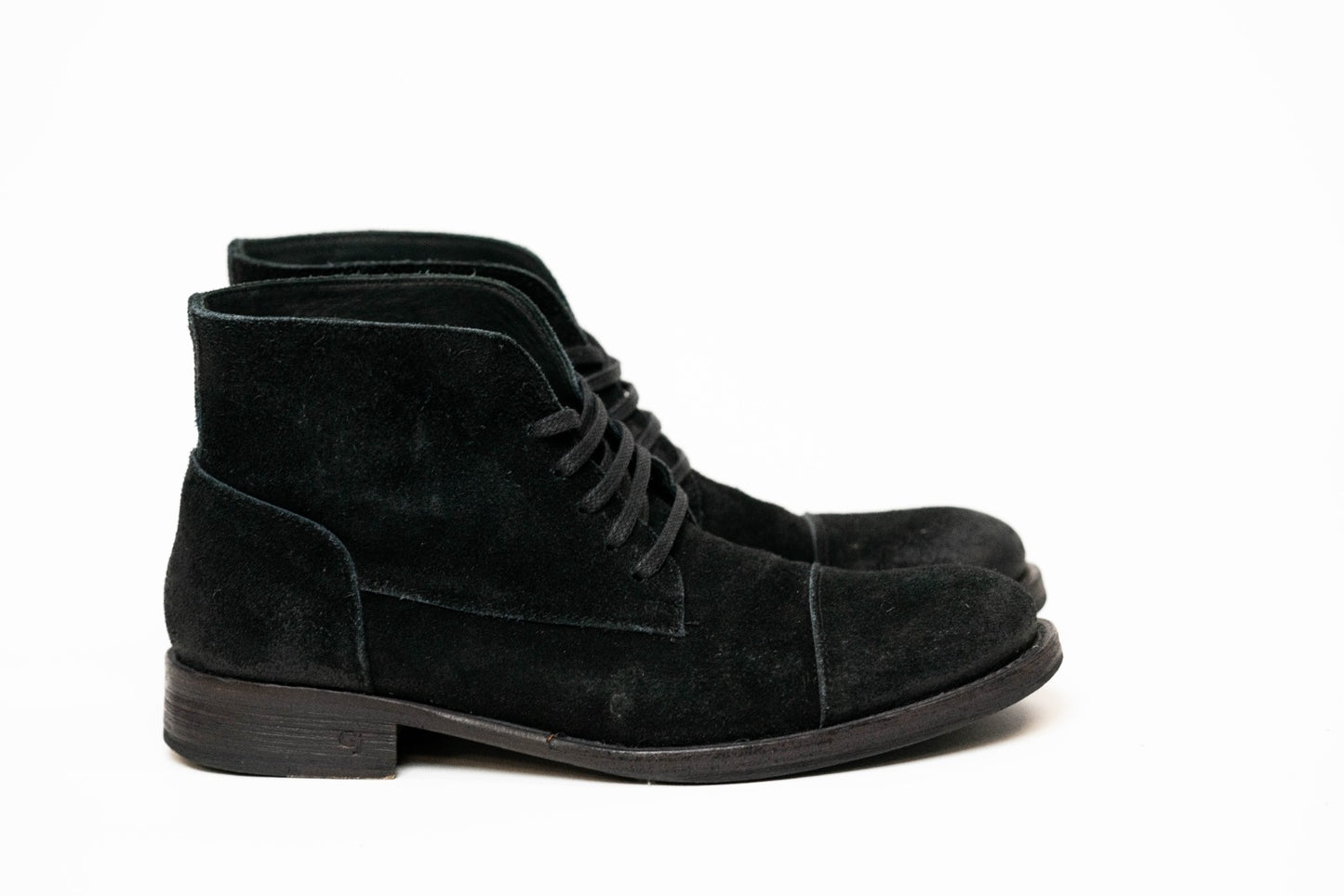 BORCEGO ZORRO