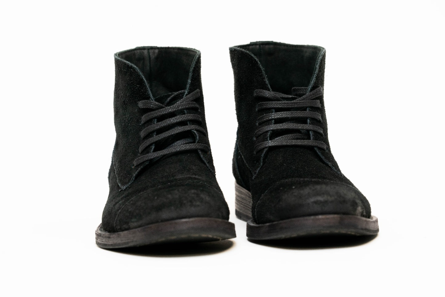BORCEGO ZORRO